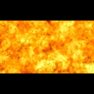 Meet your Posher, Jonas